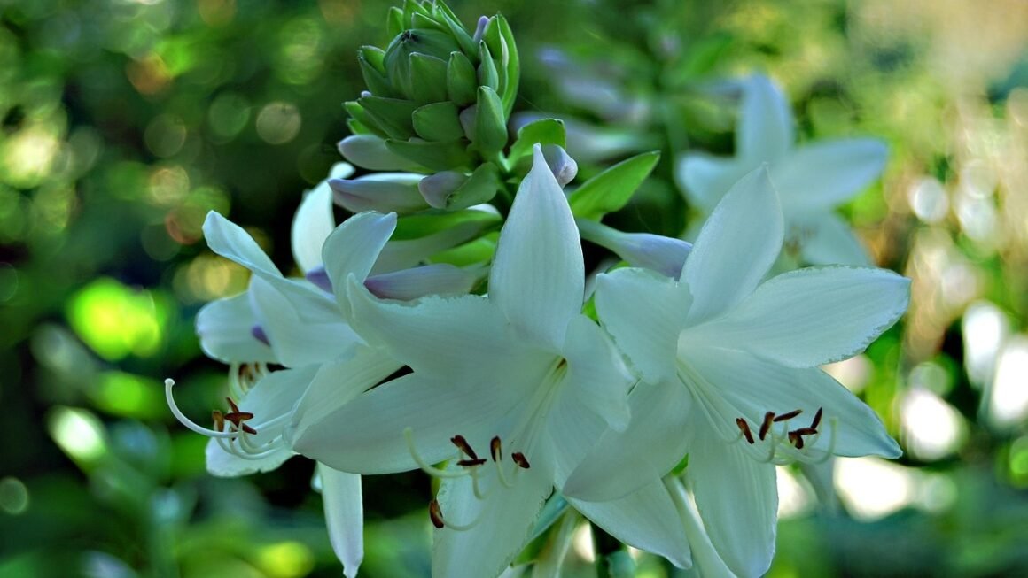 Shared Server Secrets: Scaling Up, Staying Secure