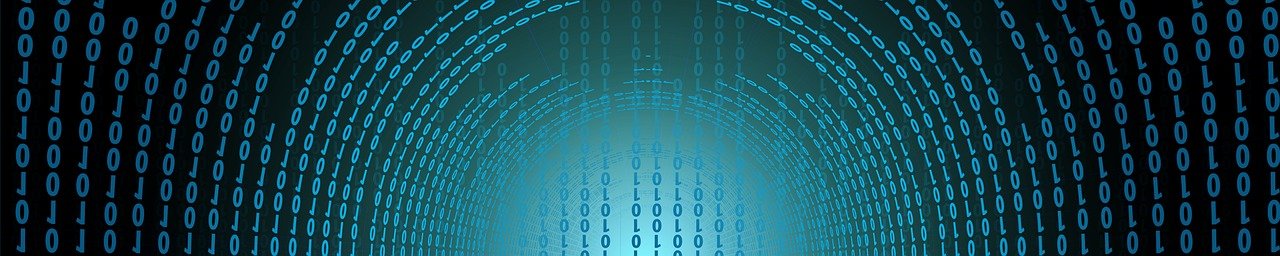 Beyond Performance: Managed WordPress For Business Growth