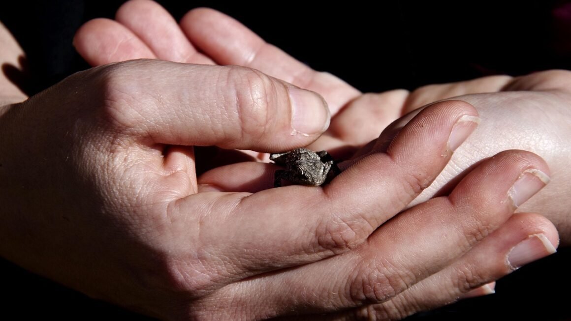 Shared Server: Optimize Resources, Maximize Your ROI