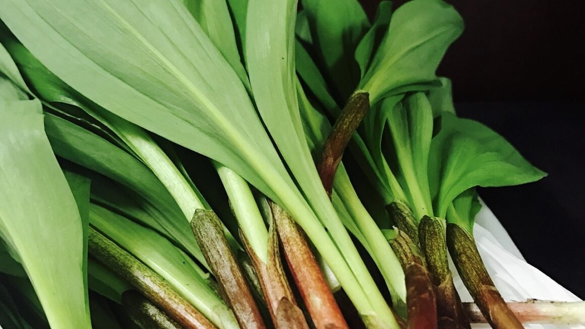 Shared Vs VPS: Scalabilitys Impact On Your Budget