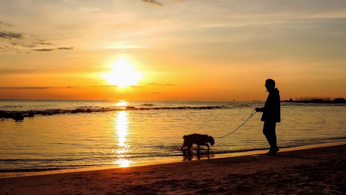 Unlocking Collective Potential: Shared Resources, Exponential Growth