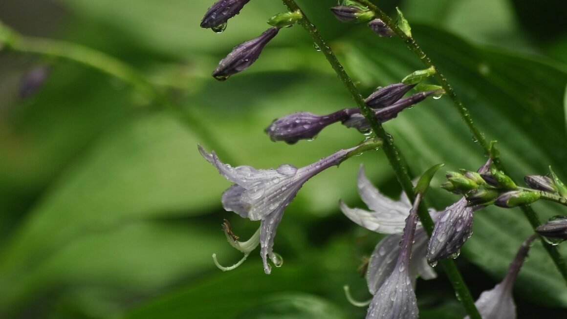 Web Hosting: Beyond The Basics, Scaling For Success