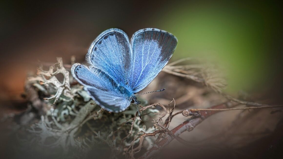 Shared Web Space: Cultivating Digital Neighborhoods Responsibly