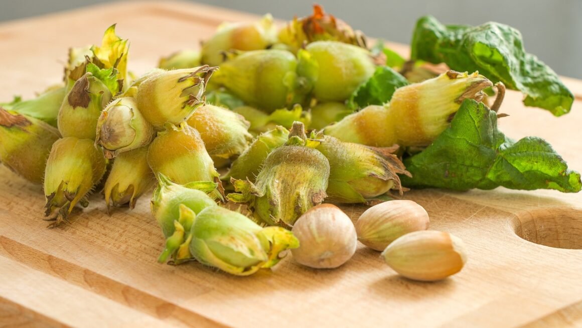 Shared Hostings Hidden Cost: Security And Scalability