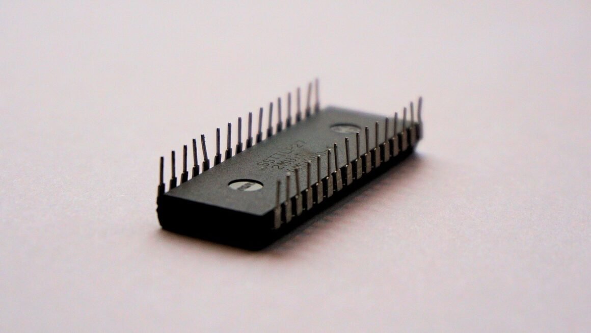 WordPress SEO: Unlock Organic Growth With These Tactics