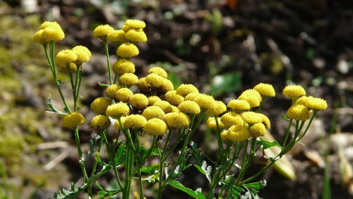 Static Sites: Performance Secrets Beyond The CDN