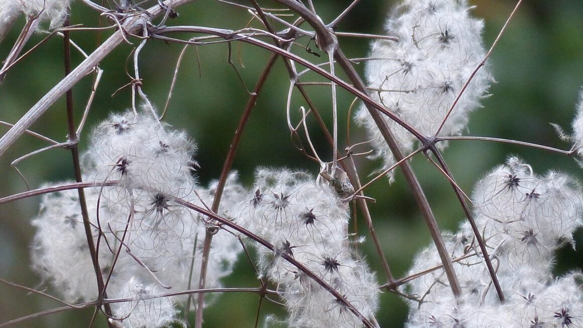 Shared Servers: The Unsung Heroes Of Web Hosting.