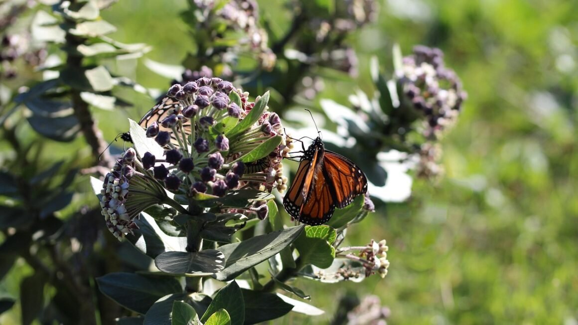 Beyond RAM: Taming Algorithmic Memory Footprints