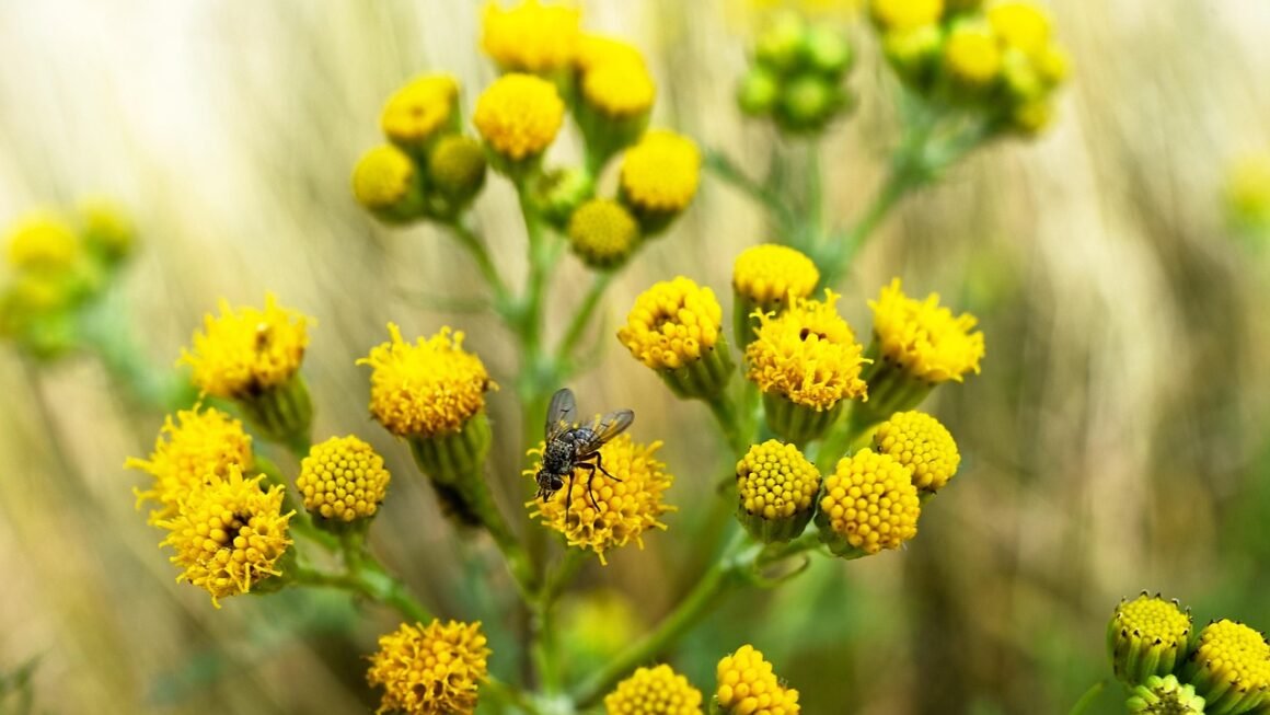 Beyond The Basics: Unlocking Hidden Hosting Features