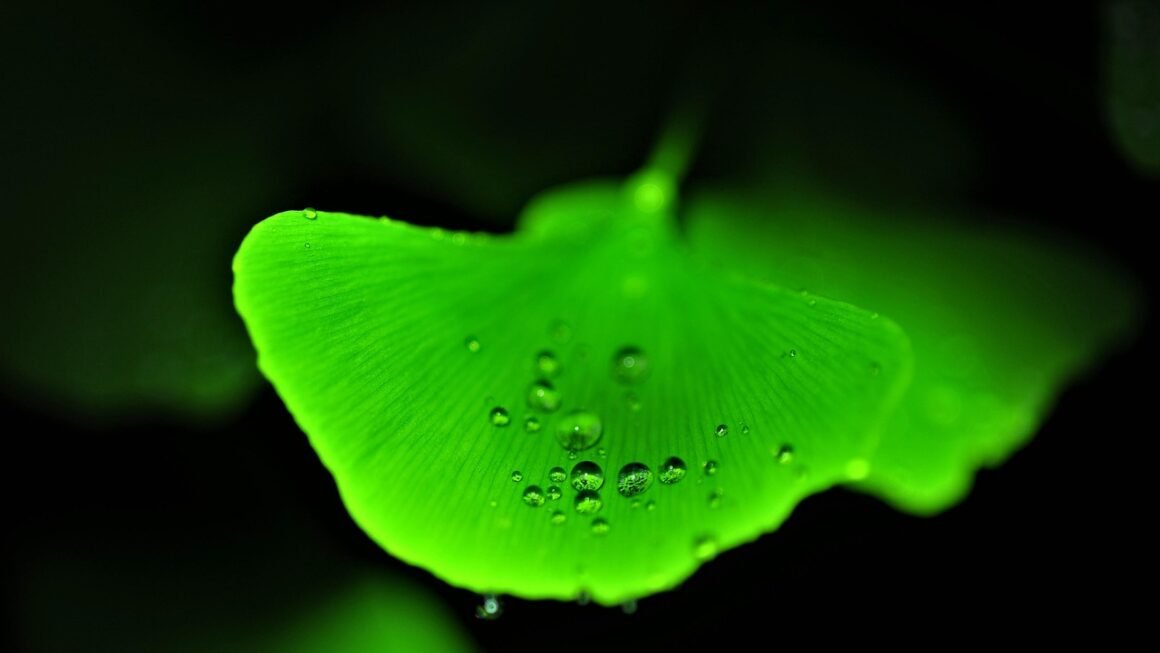 Website Alchemy: Turning Ideas Into Business Gold
