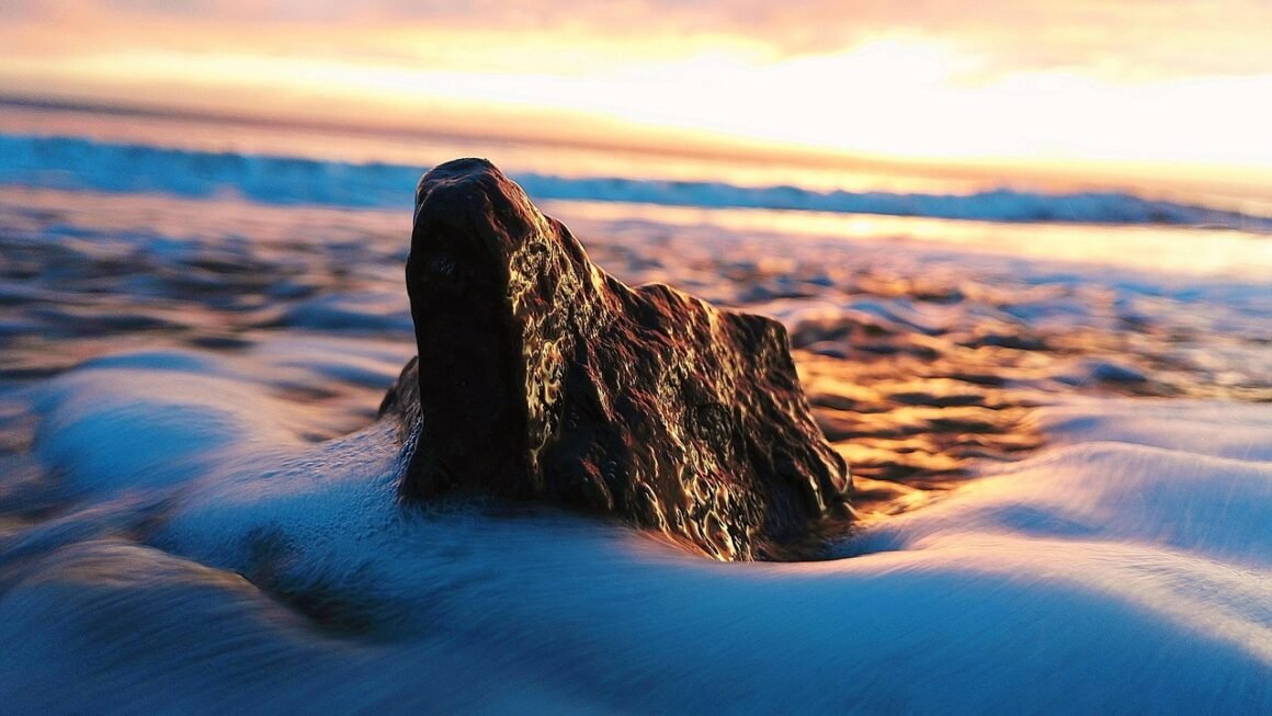 Cheap Web Host, Big Impact: Getting Started