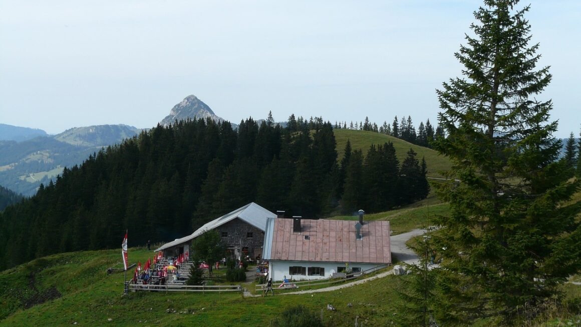 Beyond Bandwidth: Hosting Features Redefining User Experience