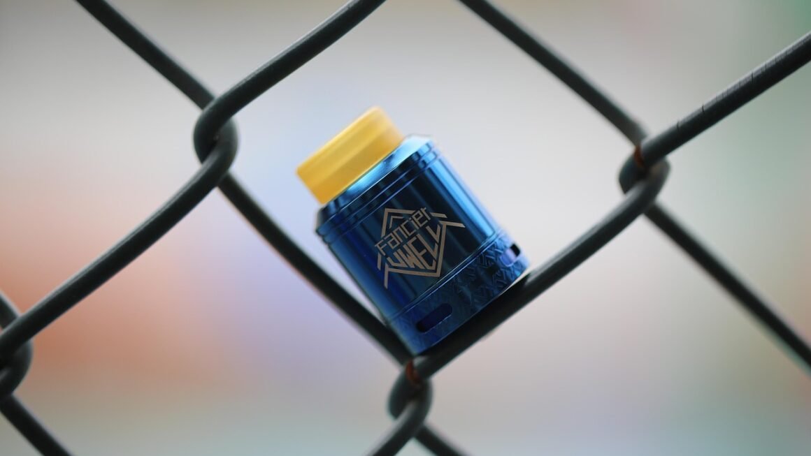 Free Domain Hosting: Myth Vs. Smart Startup