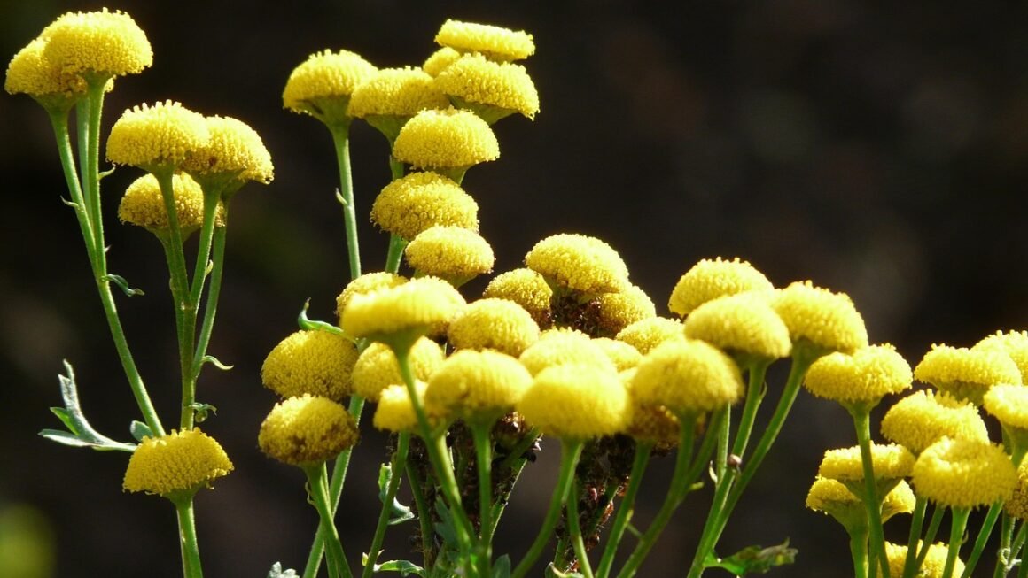 WordPress Hosting: Speed Secrets For Global Domination