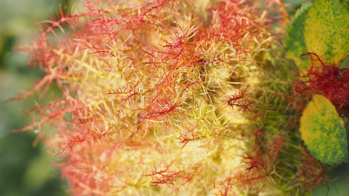 First Gig Hosting: Cheap Doesnt Mean Compromise