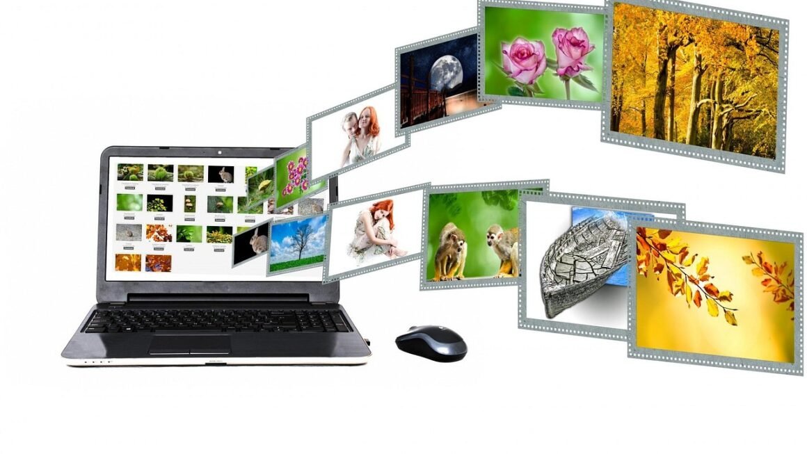 Drag, Drop, Done: Websites For Everyone