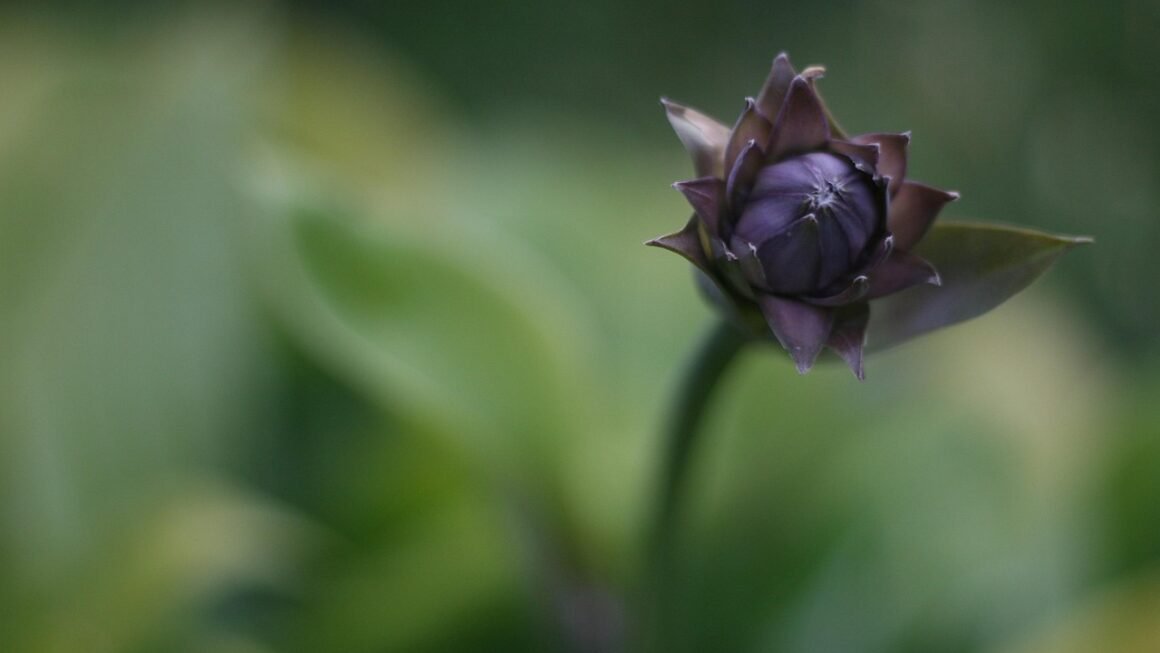 Beyond Uptime: Hosting For Performance And Innovation