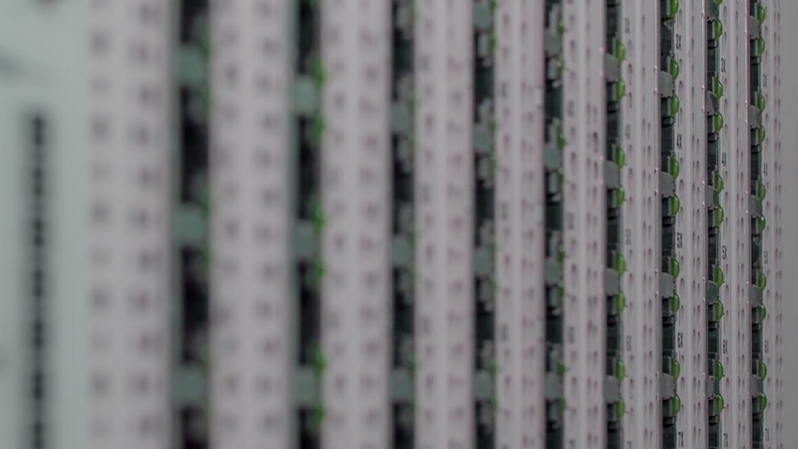 Virtualized Servers: Beyond Consolidation To Dynamic Resilience