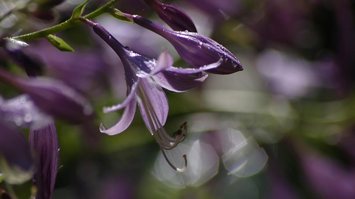 Static Sites: Performance Gold With Serverless Hosting