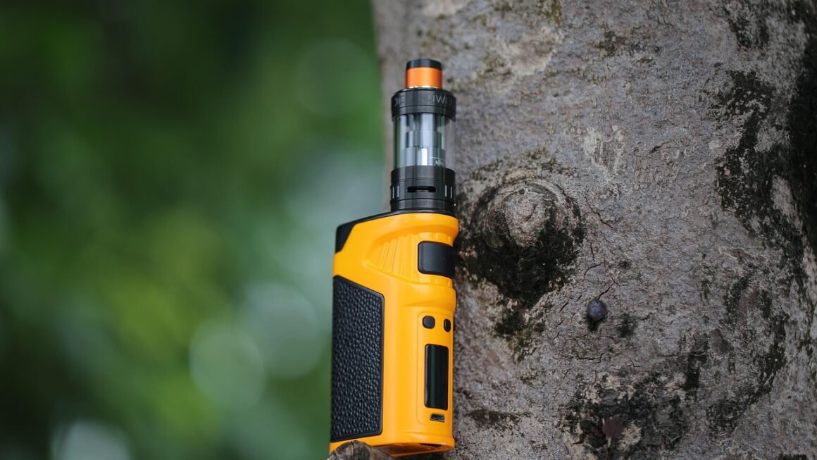 Shared Hostings Hidden Costs: Performance And Security